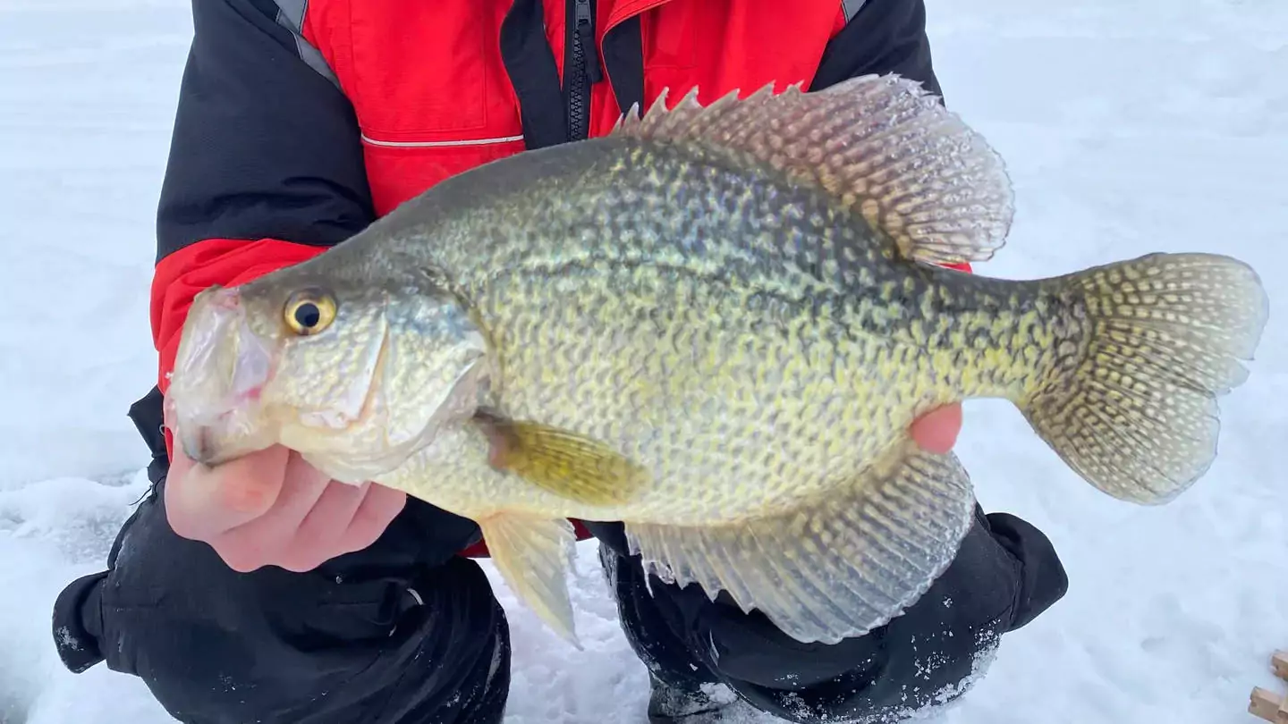 Northern Wisconsin Ice Fishing